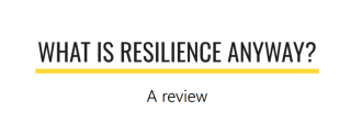 Image of Case in Point | What is Resilience anyway?