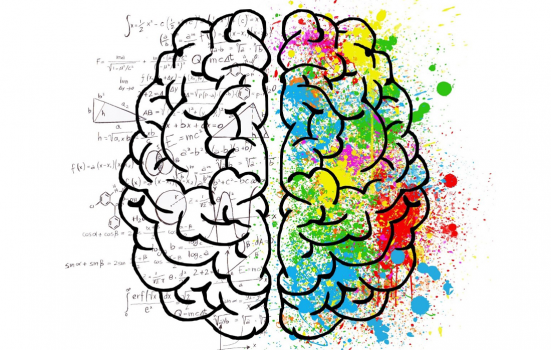 Image of Brain illustration
