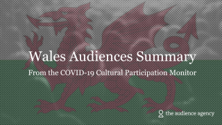 Image of Wales | Cultural Participation Monitor
